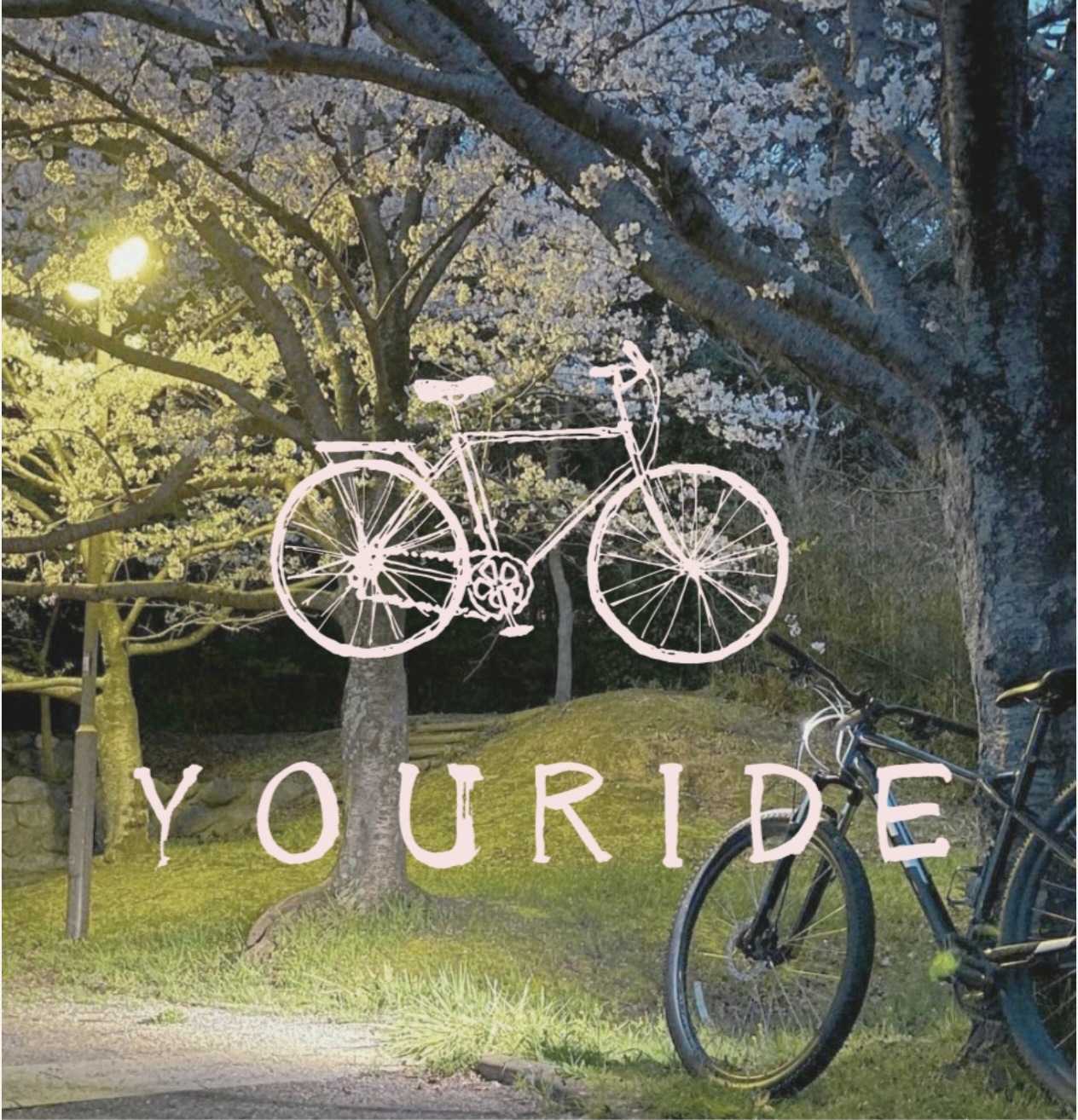 夜桜と自転車を背景にしたYOURIDEのブランド写真